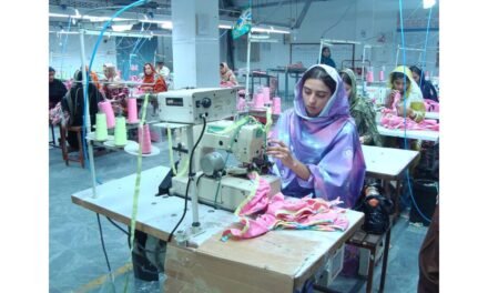 Pakistan’s apparel exports to China surge by 5 percent in 2024