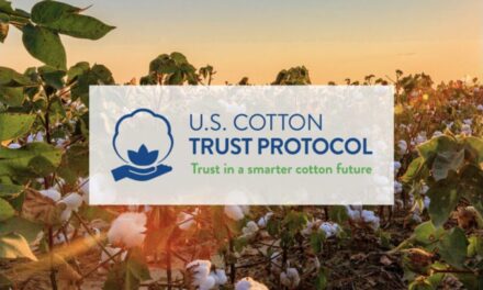 U.S. Cotton Trust Protocol expands enrollment by 35% in 2024