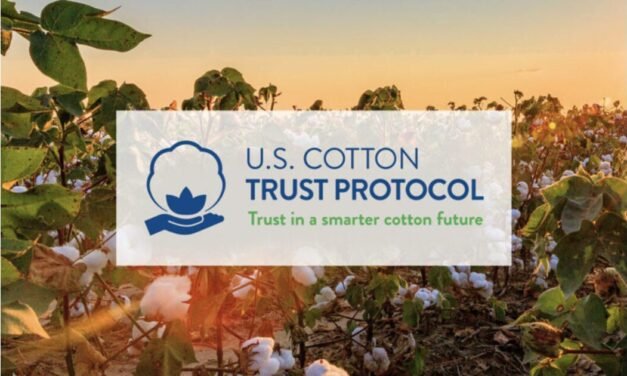 U.S. Cotton Trust Protocol expands enrollment by 35% in 2024