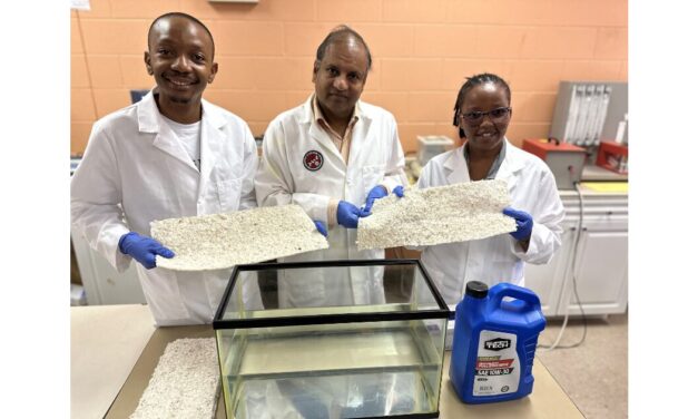 Advancing cotton’s role in sustainable development