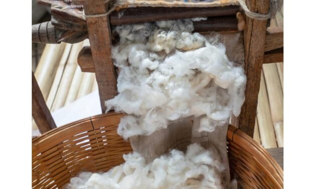 SIMA appeals Government to give thrust for strengthening cotton textile value chain