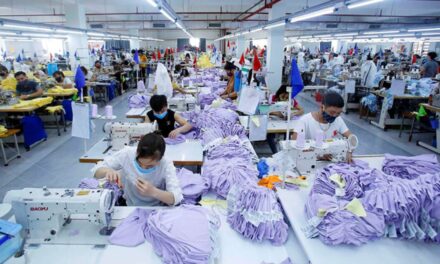 Vietnam, Netherlands partner to promote sustainable textile industry
