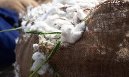 Aid by Trade Foundation partners with Lectra’s TextileGenesis™ to enhance traceability of Cotton made in Africa® (CmiA) fiber