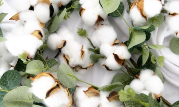 TEXPROCIL and Better Cotton partner to promote premium, sustainable Kasturi Cotton