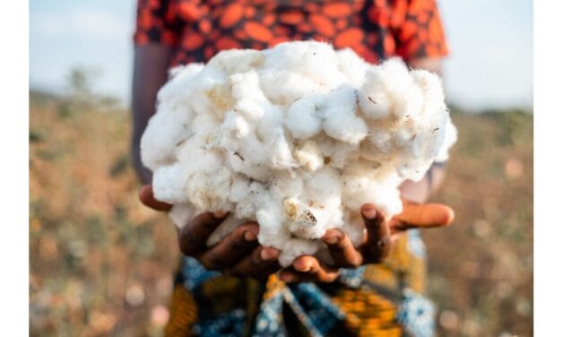 AbTF launches new transparency standard for sustainable cotton traceability