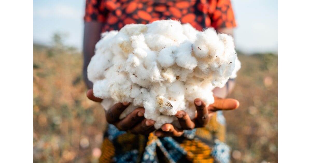 AbTF launches new transparency standard for sustainable cotton ...