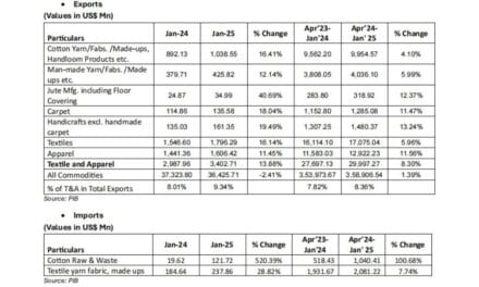 CITI analysis of exports and imports of T&A for January 2025