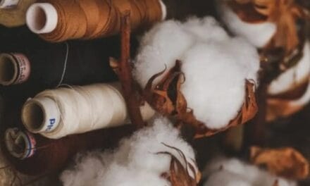 India’s textile sector faces challenges, needs focus on MMF along with cotton and innovation