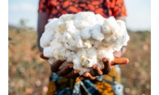Aid by Trade Foundation, International Cotton Advisory Committee and bizpando start cooperation