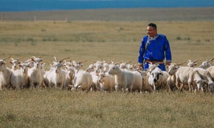 Good Cashmere Conference 2025 brings together global cashmere industry in Hamburg