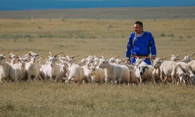 Good Cashmere Conference 2025 brings together global cashmere industry in Hamburg