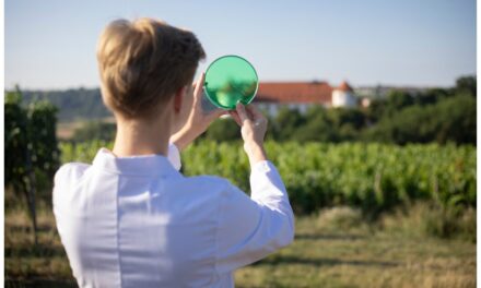 Hohenstein unveils 2024 Sustainability Report with clear targets and strategy