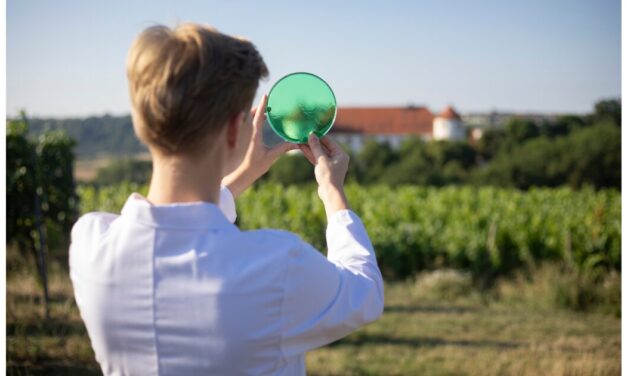 Hohenstein unveils 2024 Sustainability Report with clear targets and strategy