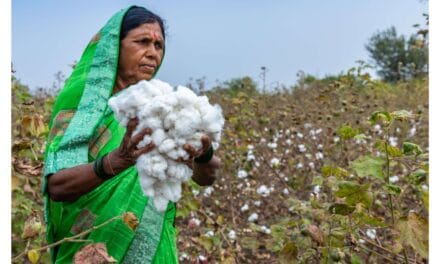 Regenerative Cotton Standard®: impressive results following first harvest in India