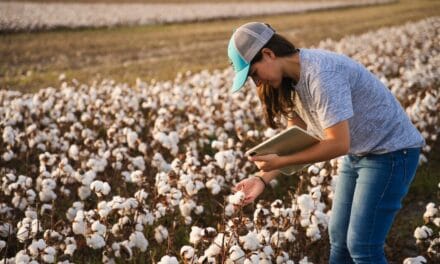 U.S. Cotton Trust Protocol and Supima partner to enhance cotton traceability