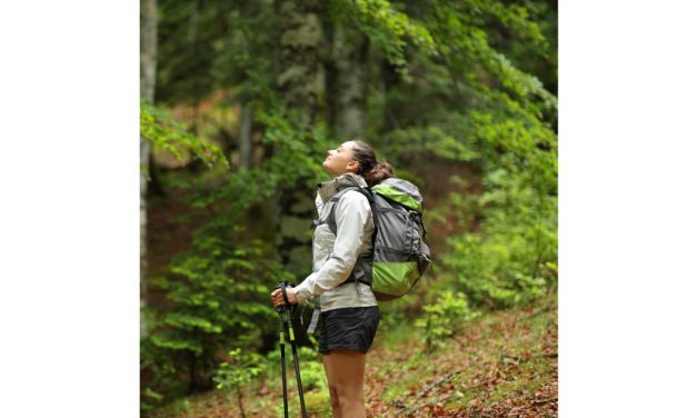 eVent Fabrics unveils Circularity Initiative, announces collection of Recyclable, Plant-Based Laminates