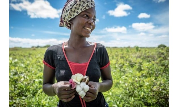 Aid by Trade Foundation receives Honorary Award of the German Africa Foundation 2025