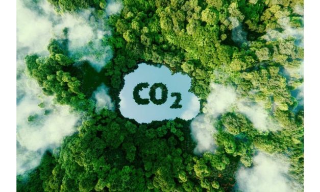 Tracing production costs and carbon footprint in the primary textile industry