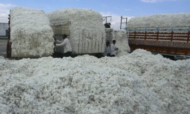India extends cotton duty relief amid US tariff blow on textiles