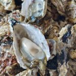 Creative Tech Textile / Hans Global showcases Seawool® as a sustainable uniform solution