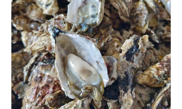 Creative Tech Textile / Hans Global showcases Seawool® as a sustainable uniform solution