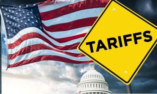 PDS reports Q2 FY26 results with topline growth of 14% Q-o-Q