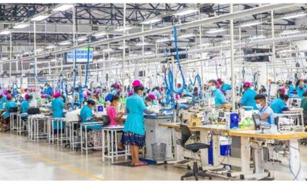 Sri Lanka’s garment exports edge up in September 2025 amid shifting global demand