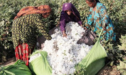CITI delegation appeals to Union Agriculture Minister for duty-free cotton imports, citing competitiveness concerns.