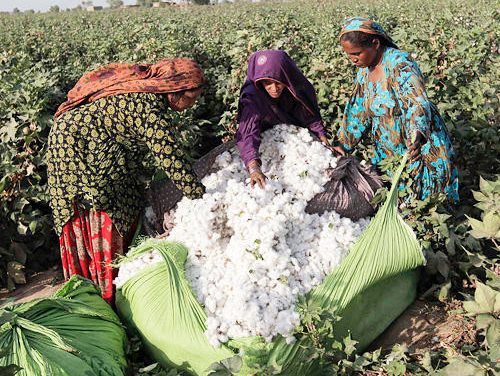 CITI delegation appeals to Union Agriculture Minister for duty-free cotton imports, citing competitiveness concerns.