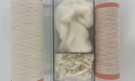 Cellulose staple fiber yarns produced using an environmentally friendly process