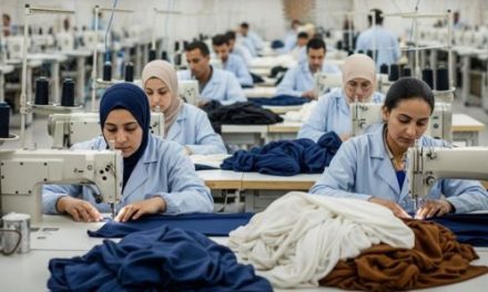 Egypt’s clothing exports rise 15% due to high demand from the US and Europe