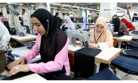Egypt establishes permanent export hub in Kenya to expand African