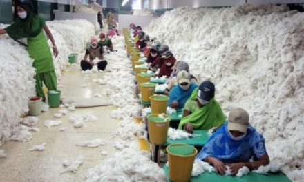 Indian cotton sector in play
