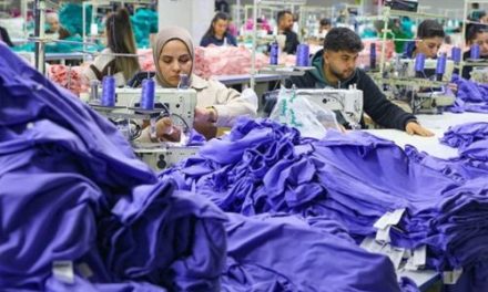 Turkey’s exporters chief says country’s manufacturers cannot survive under current economic policy