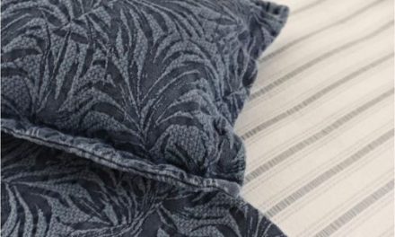 Archroma and Lameirinho partner in pioneering deployment of InOneGO single-step dyeing