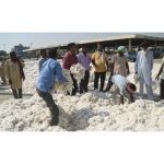 Centre may extend cotton import duty waiver at least till December