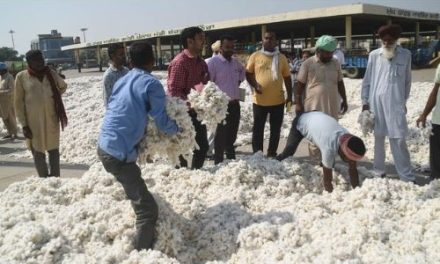 Centre may extend cotton import duty waiver at least till December