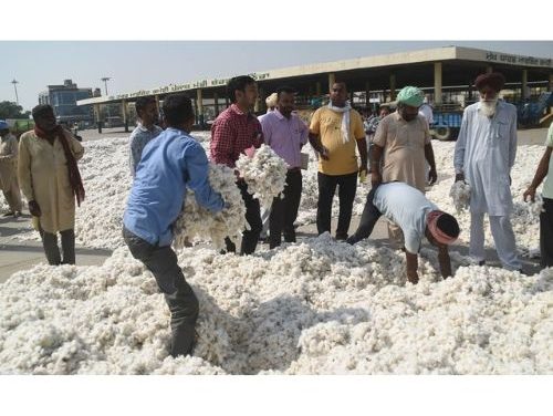 Centre may extend cotton import duty waiver at least till December