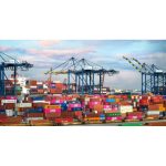 DGFT eases Certificate of Origin process for exporters