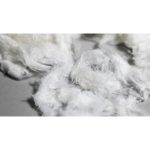 RE&UP’s Next-Gen Cotton fibers power Zalando private label t-shirt collection crafted from innovative recycled textiles